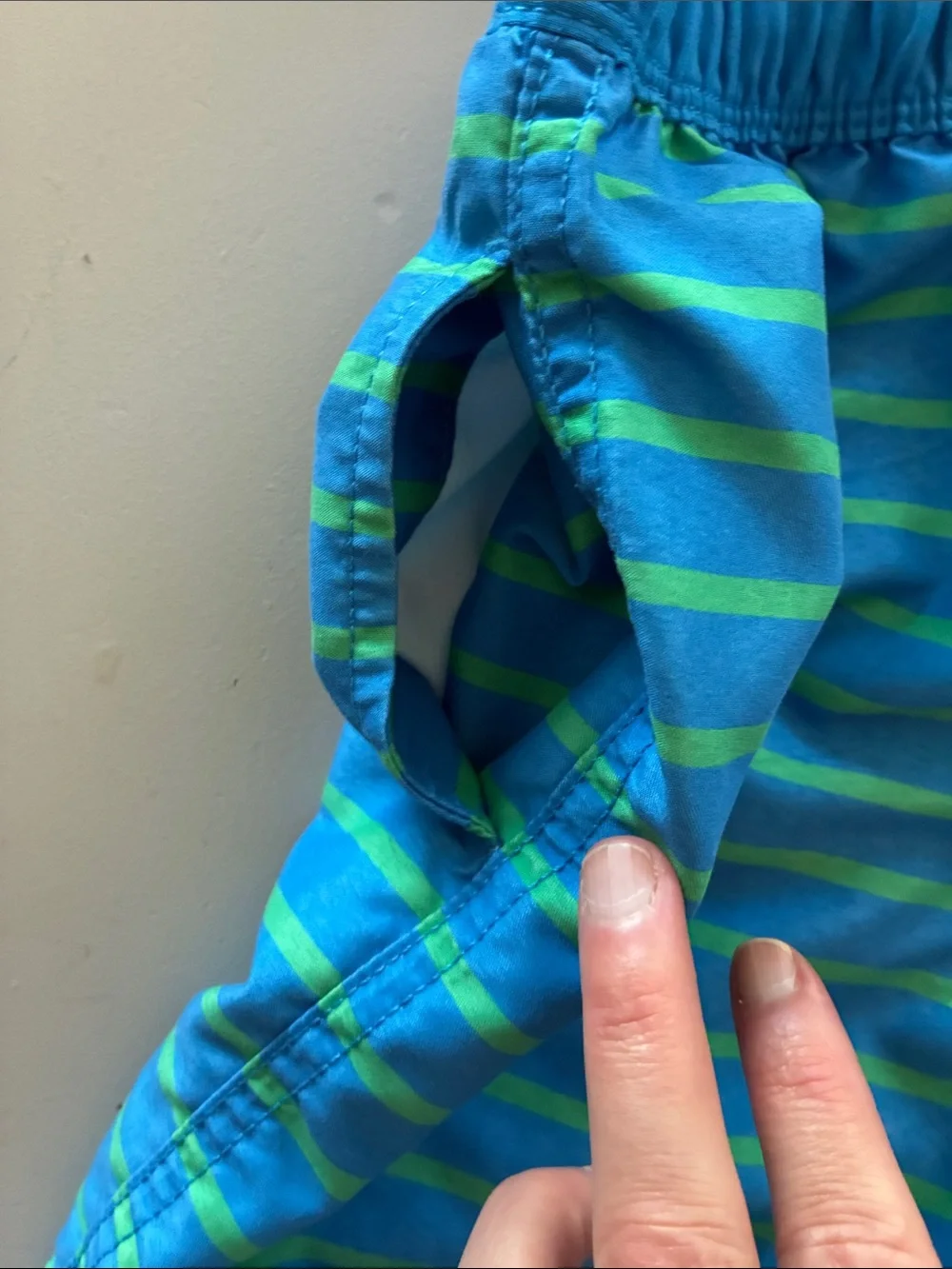 Hanna Andersson Blue & Green Striped Swim Shorts
